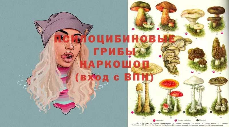 darknet формула  Ладушкин  Псилоцибиновые грибы Psilocybe 